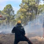 Almora News :फायर स्टेशन अल्मोड़ा की टीम ने पाण्डे खोला के पास जंगल में लगी भीषण आग पर कड़ी मशक्कत के बाद पाया काबू,आबादी क्षेत्र में पहुंचने के खतरे को टाला