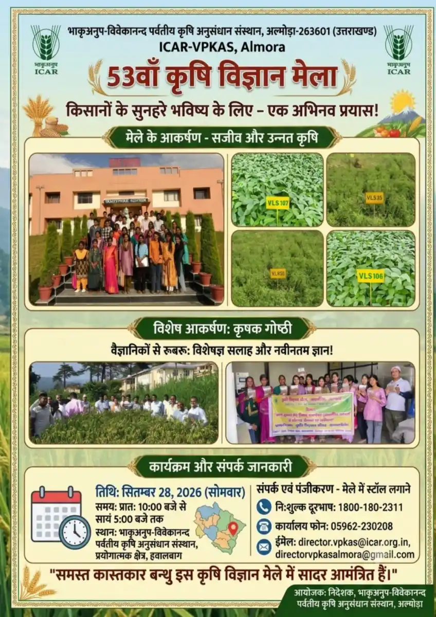 Advertisement